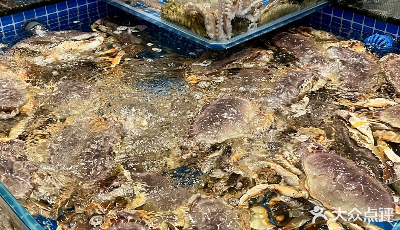 在南京又找到了新的奋斗目标……
