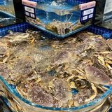 在南京又找到了新的奋斗目标……