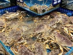 -海月轩海鲜豆捞(紫金塔店)