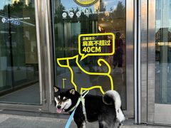 -凯德广场(西城店)