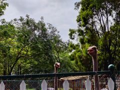 -广东花都香草世界旅游度假区