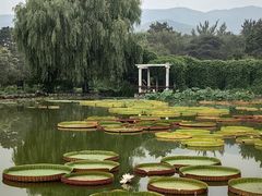 -国家植物园南园