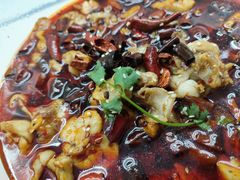 -蜀都丰 正宗水煮鱼(建德天城店)
