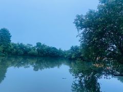 -新荣记(西溪湿地店)