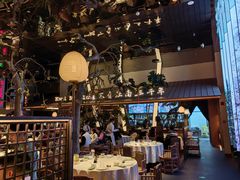 -桂满陇·海市蜃楼·黑金(国金店)