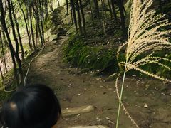 -重庆彩云湖湿地公园