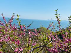 -童牛岭风景区