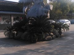 -安飞驰驾校·学车连锁(金高店)