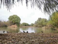 -西安浐灞国家湿地公园