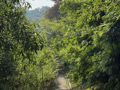 -潜山国家森林公园