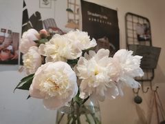 -懒鱼时光馆(沙坪坝店)