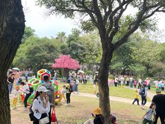 -广东花都香草世界旅游度假区