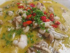 -猫头婴小酒馆FUN OWL(1912店)