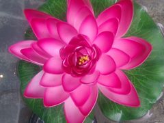 -湘裕楼(大观南路总店)