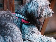 -老宅原住民沙茶面精品小吃(龙头路店)