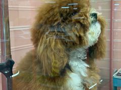 -FAELING PETS美天灵宠物(合生汇店)