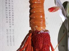 -和创柚子·会席日本料理(新区淮海街店)