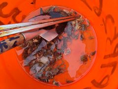 -红树林天天赶海