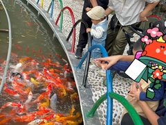 -陶祖圣境风景区