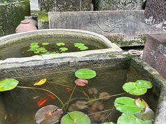 -安仁古镇