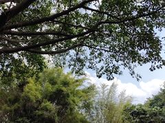 -深圳国际园林花卉博览园