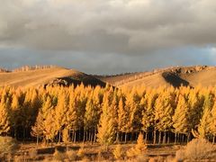 -塞罕坝国家级自然保护区