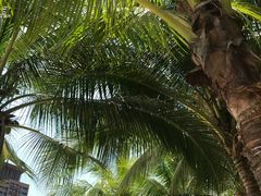 -亚马逊丛林水乐园