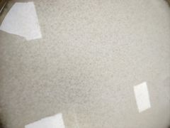 -山河屯铁锅炖(哈西站店)