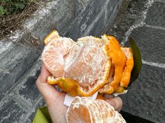 -道教老君洞