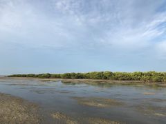 -北海金海湾红树林生态旅游区