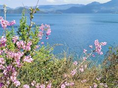 -丽江泸沽湖景区