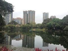 -晓港公园