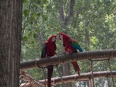 -北京野生动物园