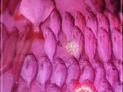 -老明馨潮汕大排档