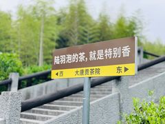 -大唐贡茶院