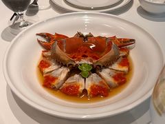 醉膏蟹-伯衡55·吉品轩(乌鲁木齐南路店)