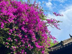-成都杜甫草堂博物馆