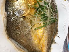 -万柳阁小馆·花园餐厅(龙潭湖店)