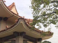 -崖口云吞(石岐店)