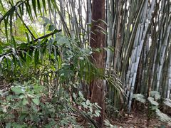 -海南热带野生动植物园