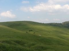 -恋山坝上草原