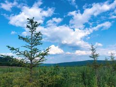 -北极村旅游风景区
