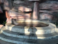 -中家鑫园温泉酒店鑫悦汤泉