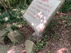 -上海佘山国家森林公园天马山园