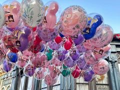 -上海迪士尼度假区