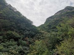 -黄花溪