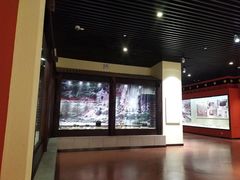 -迪庆藏族自治州博物馆