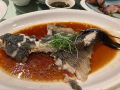 -金美华轩(东方路齐鲁店)