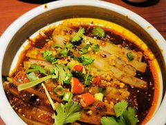 -川人百味·水煮活鱼(赛罕万达店)