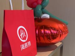-海底捞火锅(枫蓝国际购物中心店)